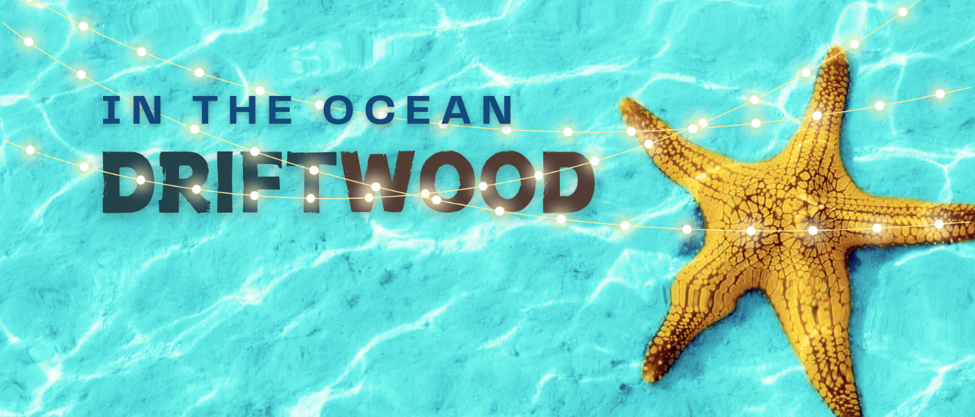 Welcome to Driftwood: In The Ocean